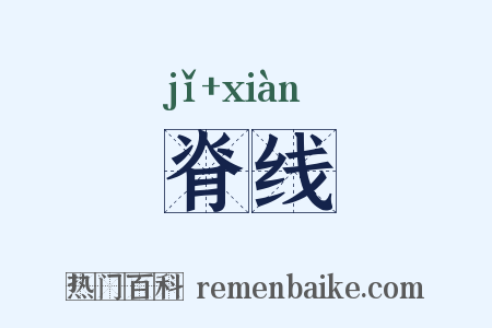 脊线是什么意思的图片